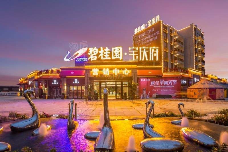 碧桂园·宝庆府效果图