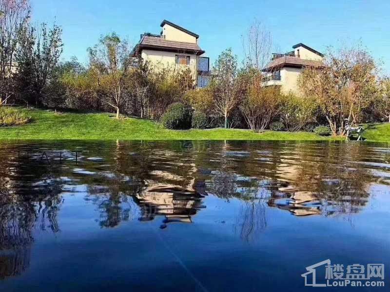 k2十里春风实景图
