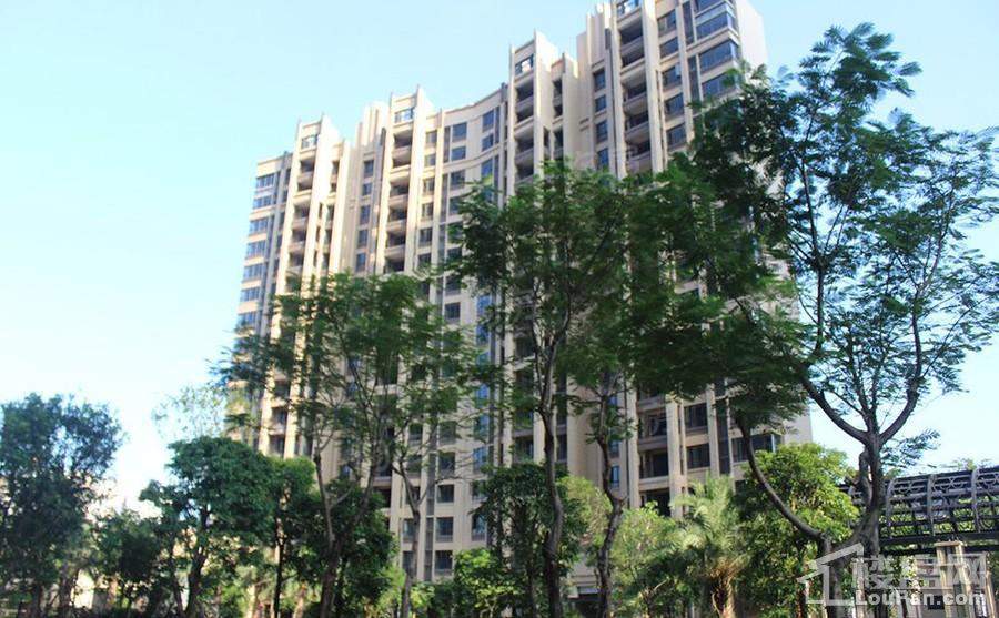 骏瓏盛景实景图