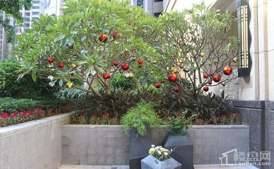 骏瓏盛景实景图