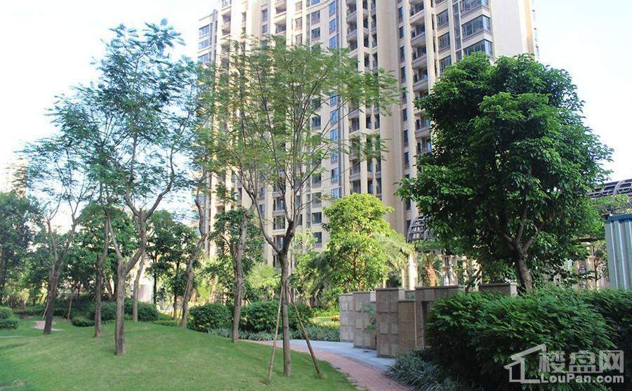 骏瓏盛景实景图