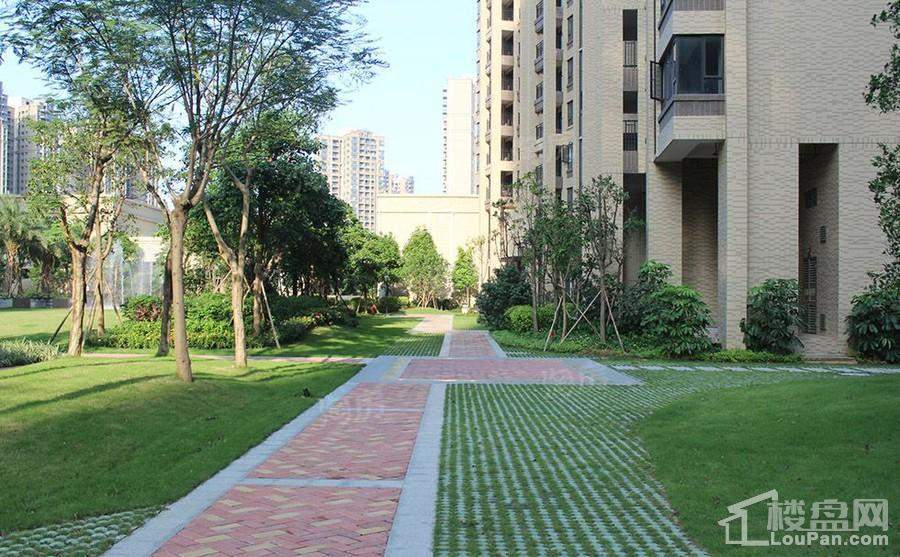 骏瓏盛景实景图