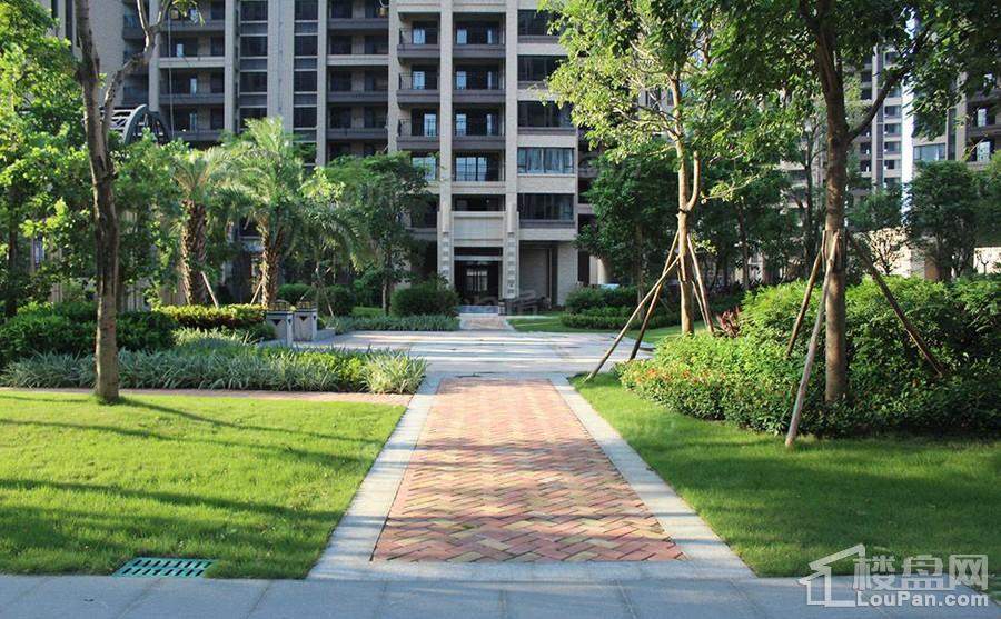 骏瓏盛景实景图