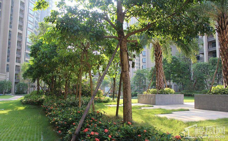 骏瓏盛景实景图