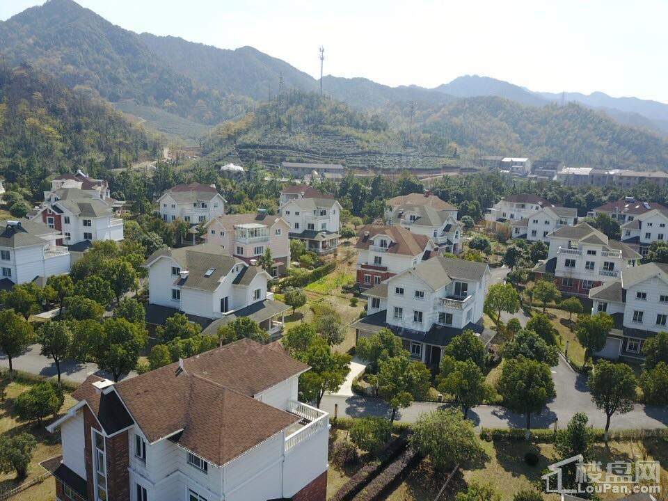 维多利亚庄园实景图