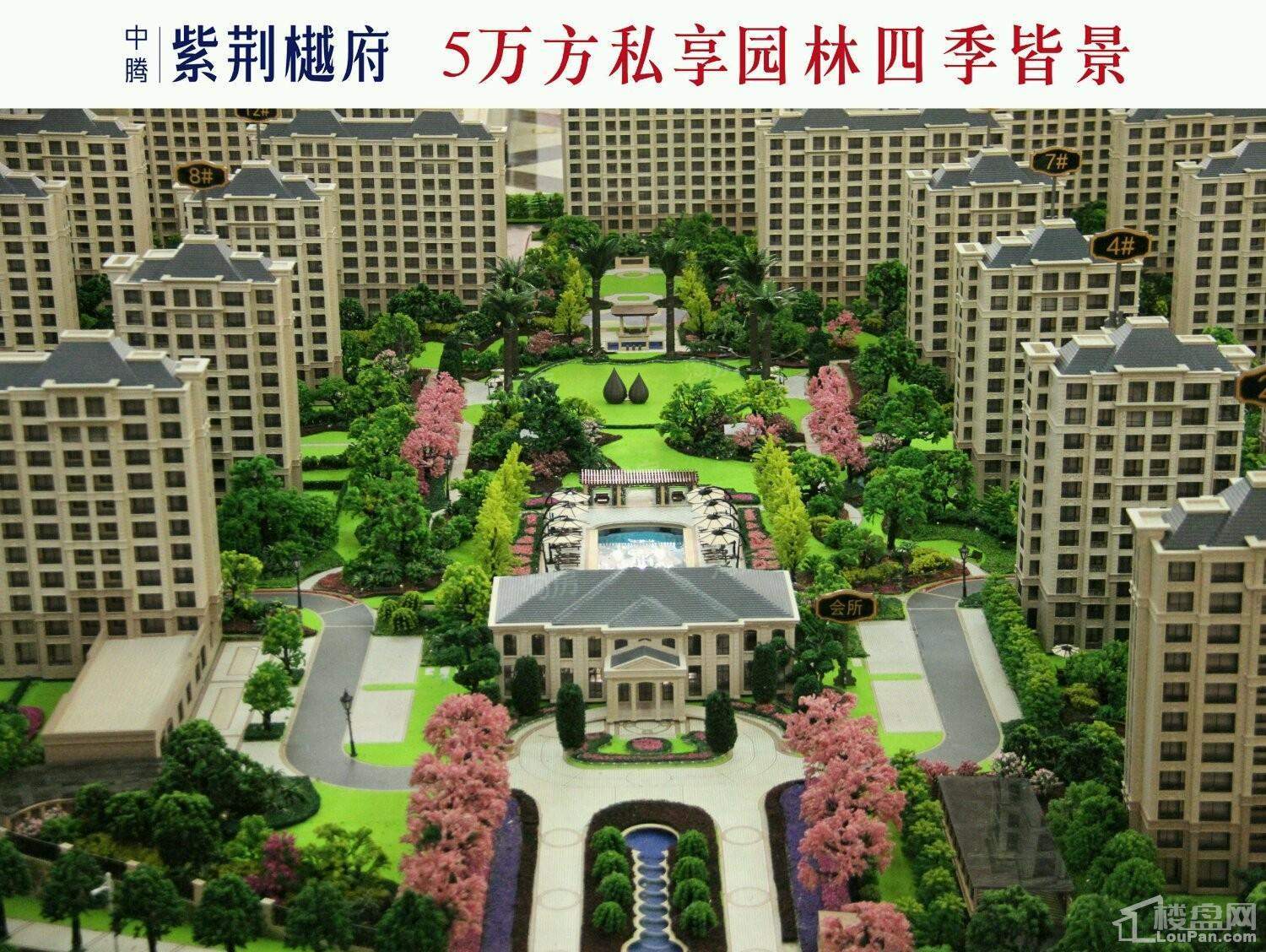 中腾紫荆樾府效果图