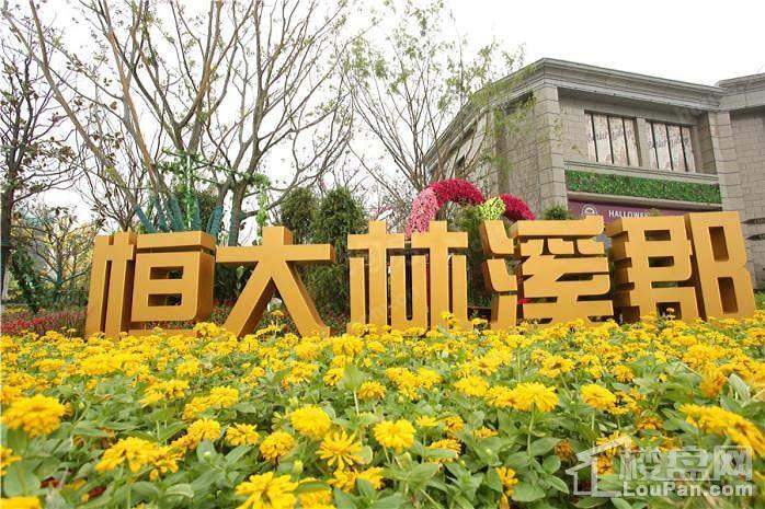 恒大林溪郡效果图
