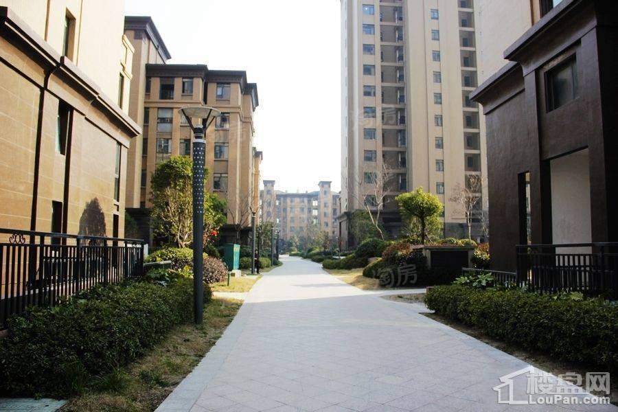 星河蓝湾实景图
