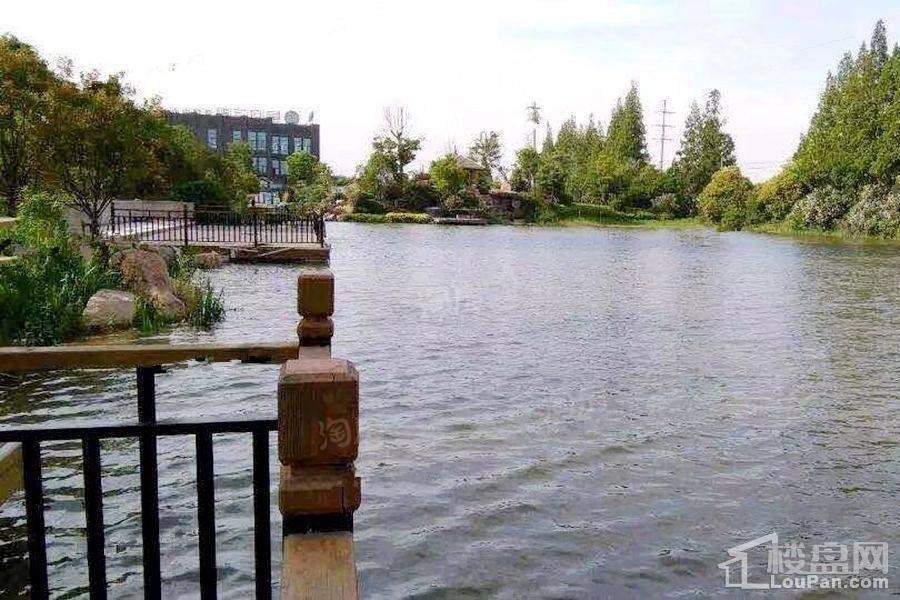 星河蓝湾实景图