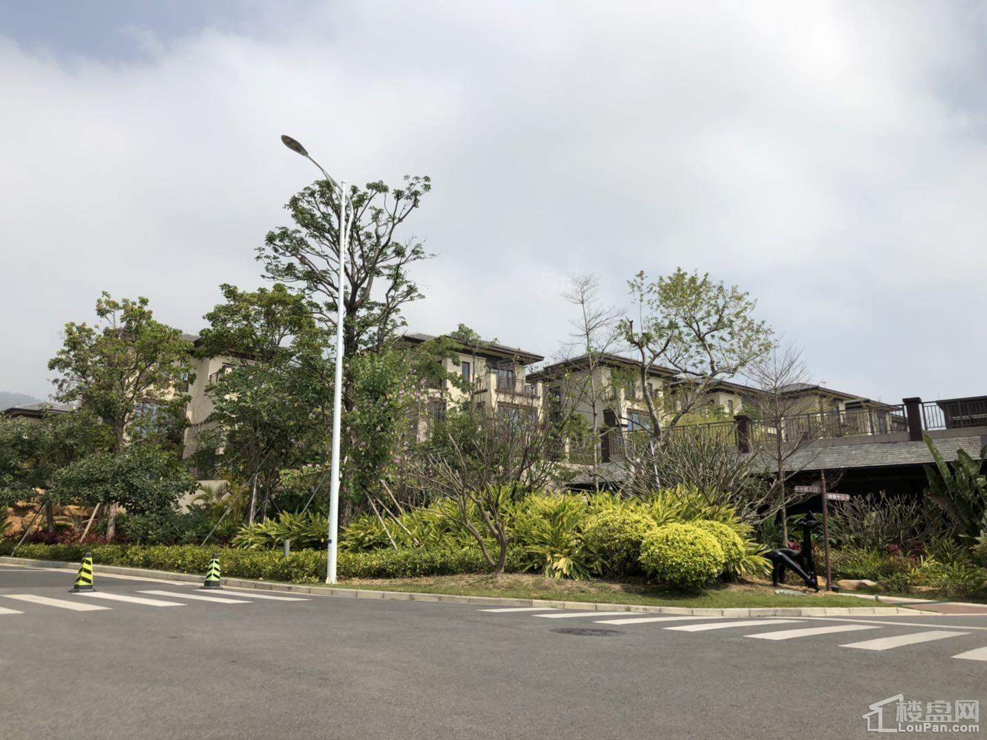 华发观山水实景图