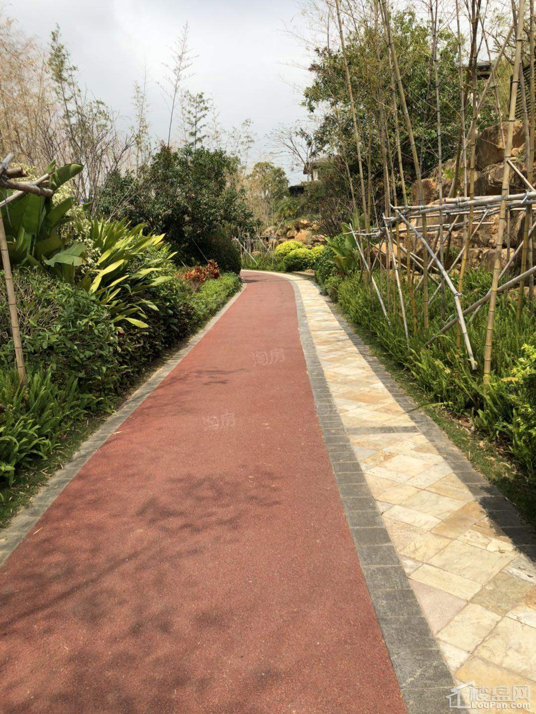 华发观山水实景图