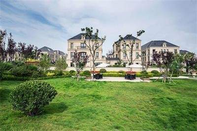 实景图