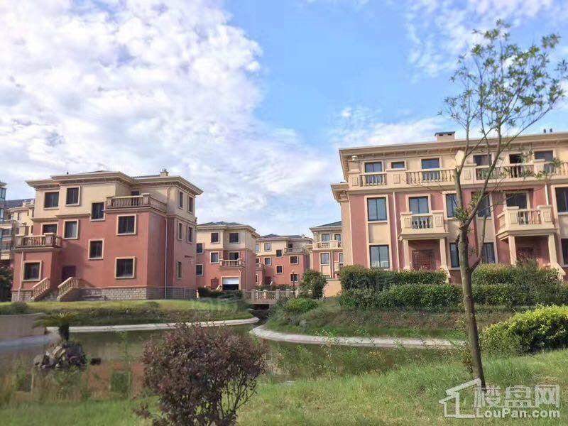 云间山水效果图