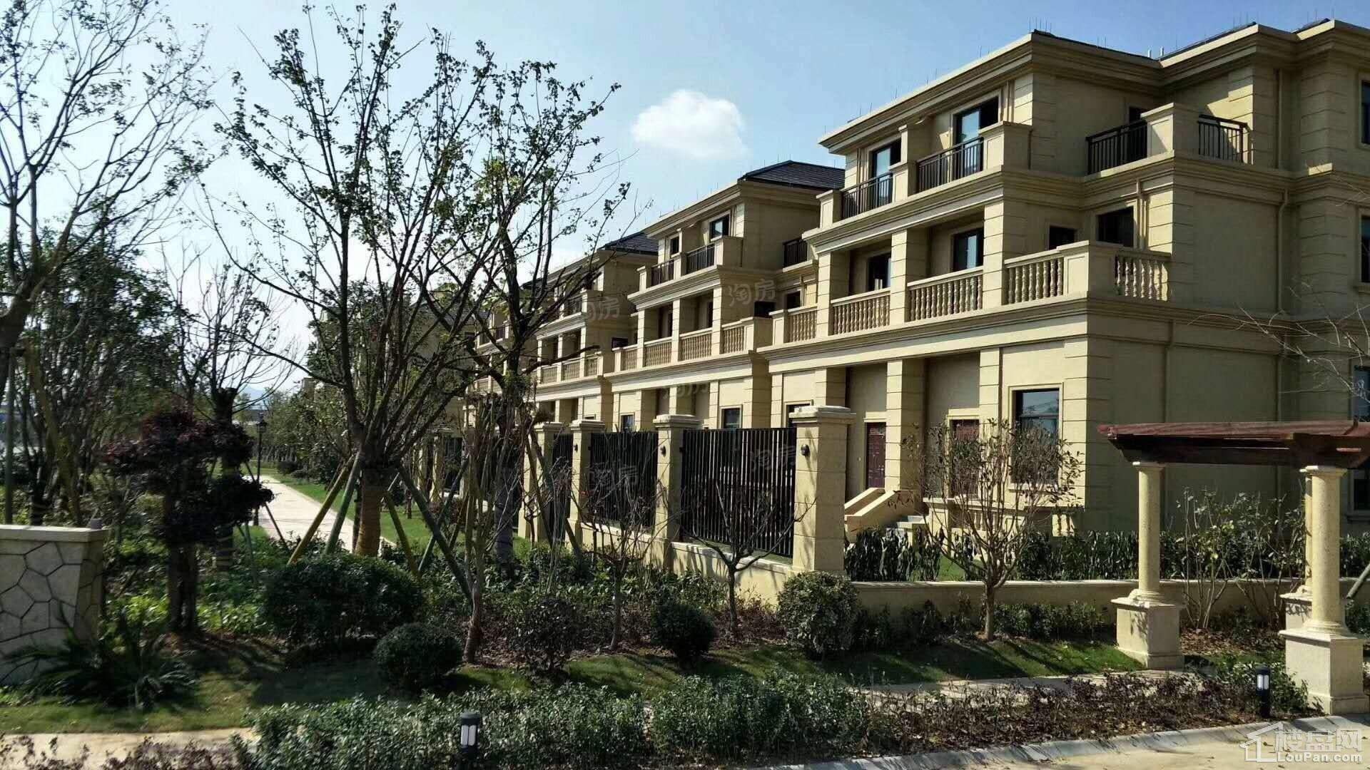 香溪茗苑实景图