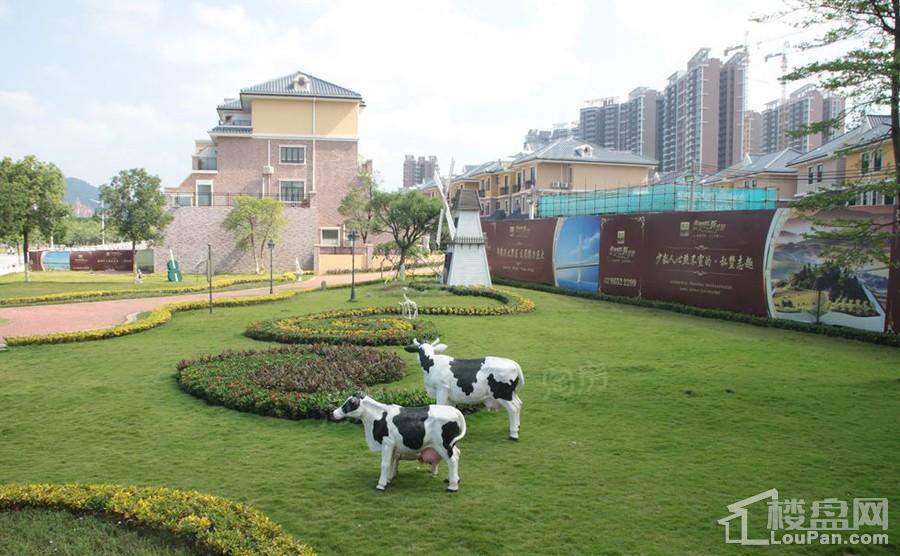 实景图