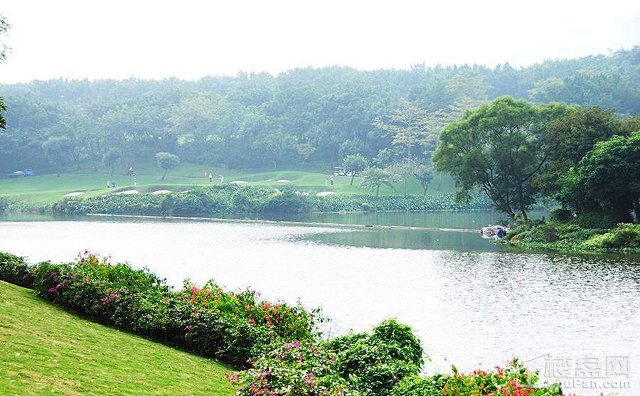 万科柏悦湾实景图