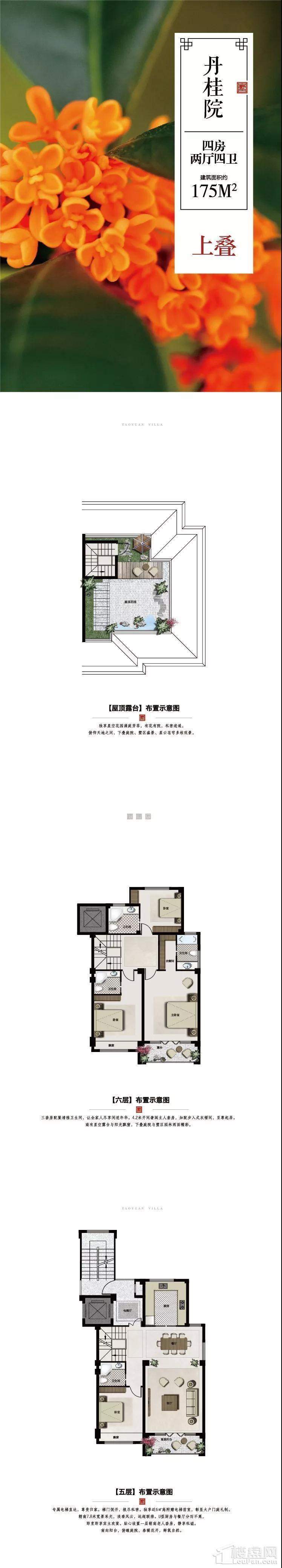 丹桂院上叠