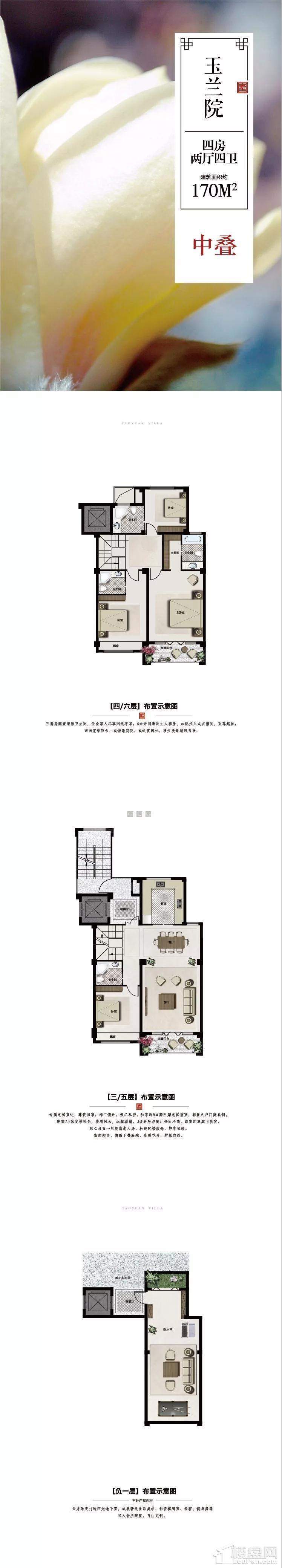 玉兰院中叠