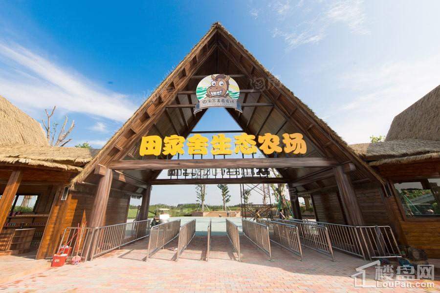 雅居乐民森·迪茵湖小镇实景图