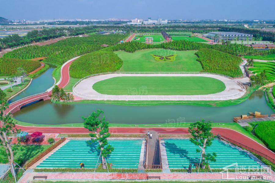 雅居乐民森·迪茵湖小镇实景图