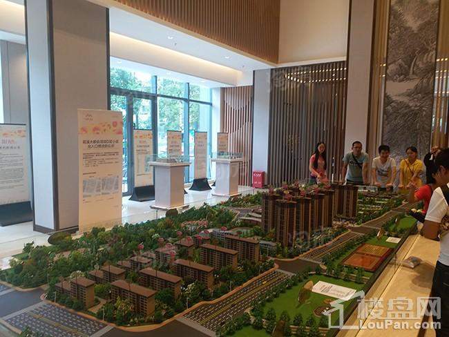 万科花溪大都会实景图