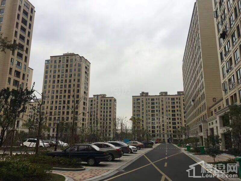 正元香槟花园实景图