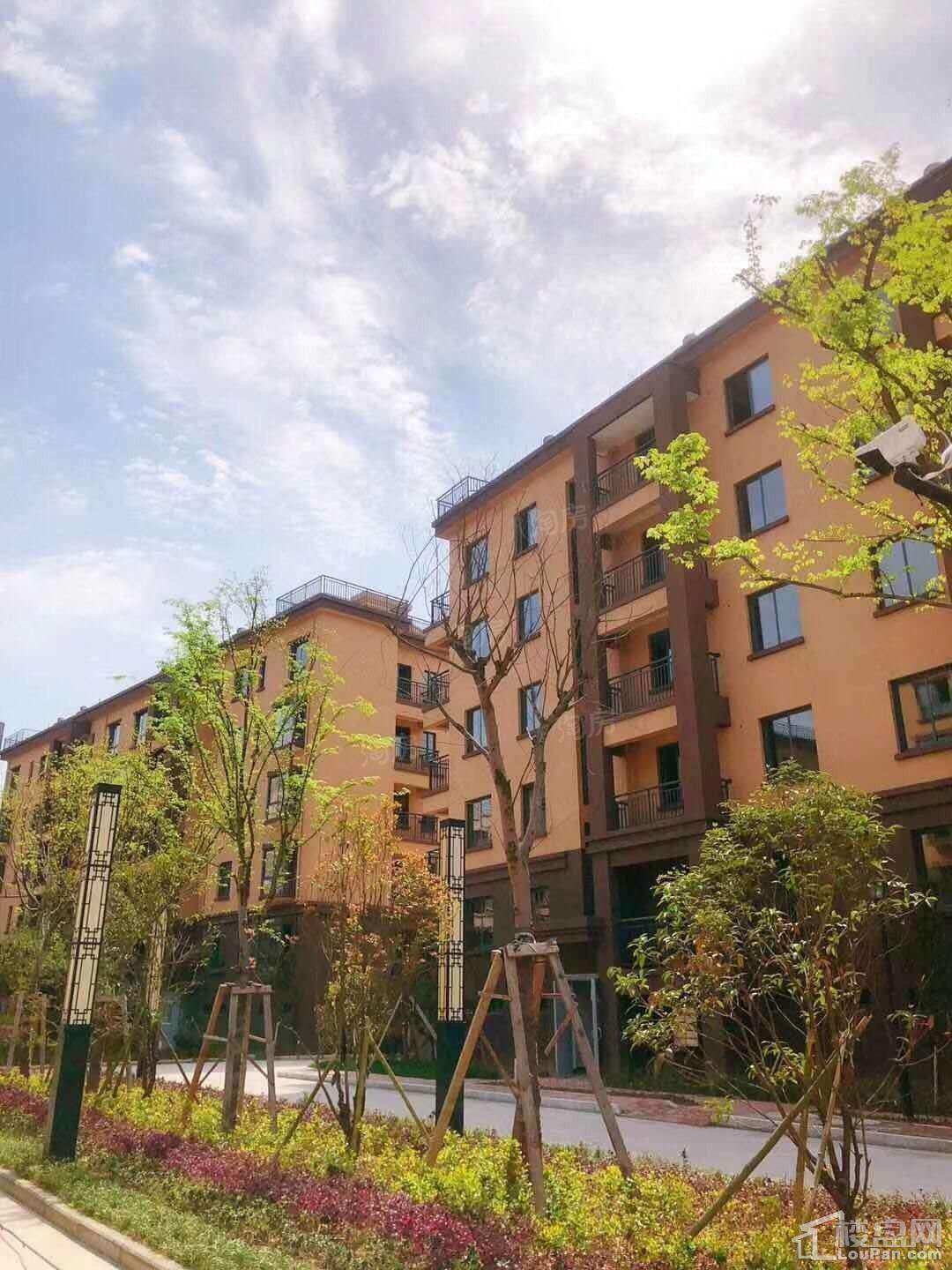 汤舜华府实景图