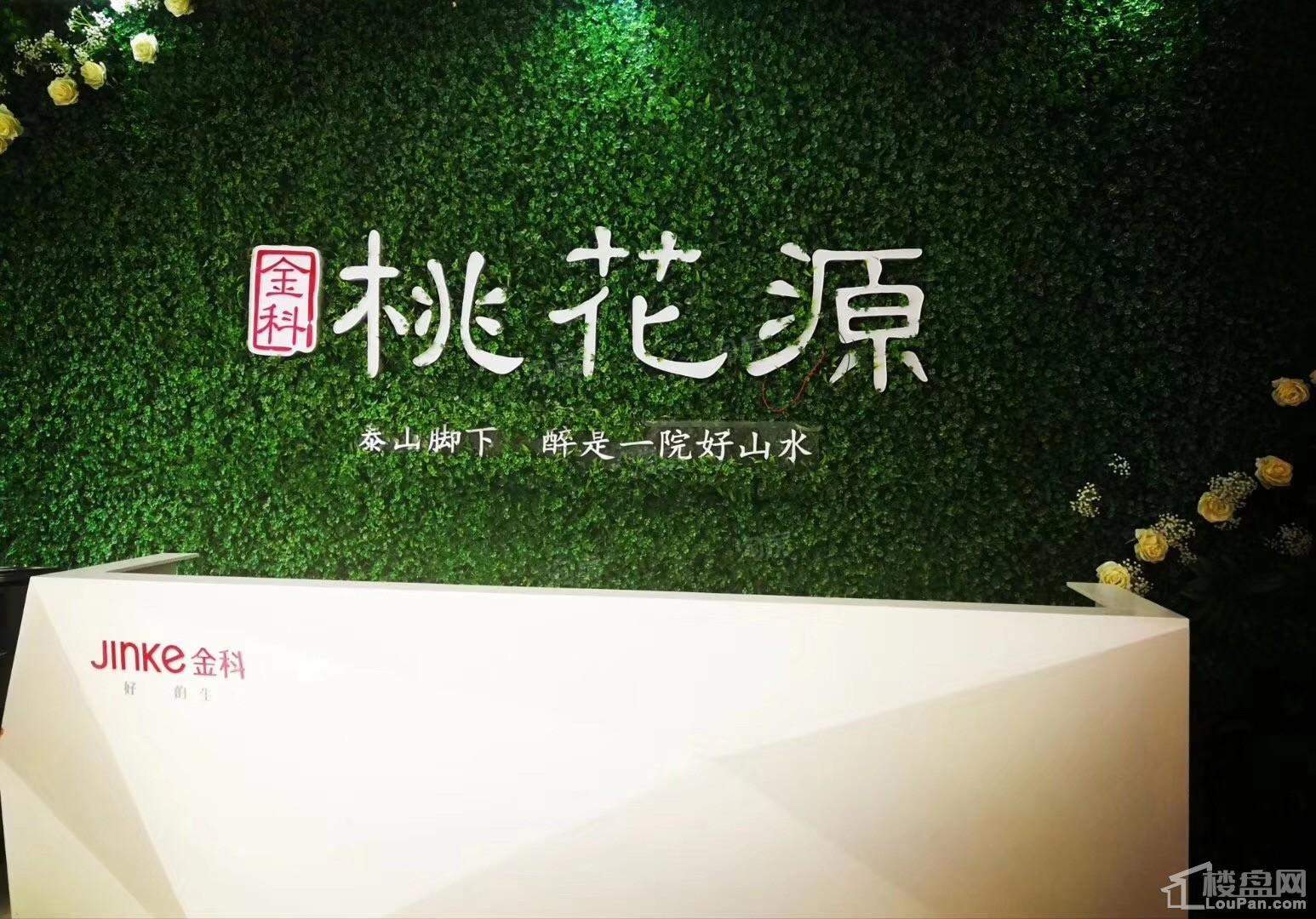 金科桃花源实景图