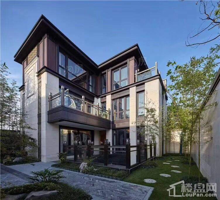 金科桃花源实景图