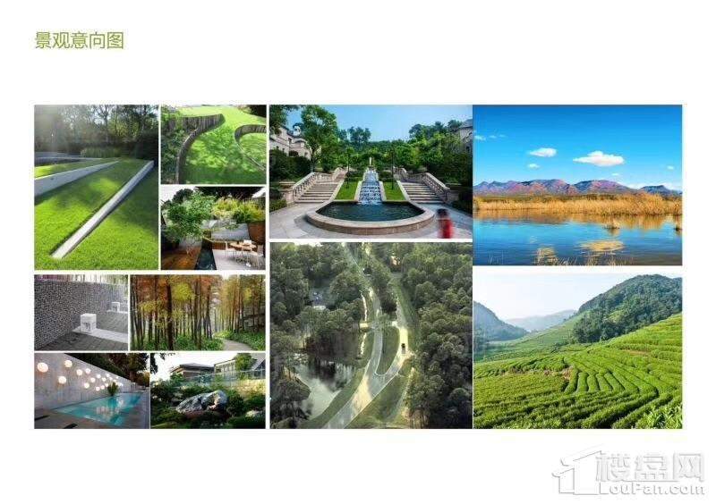 金科桃花源实景图