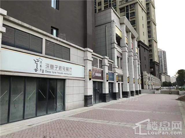华洲城熙悦都实景图