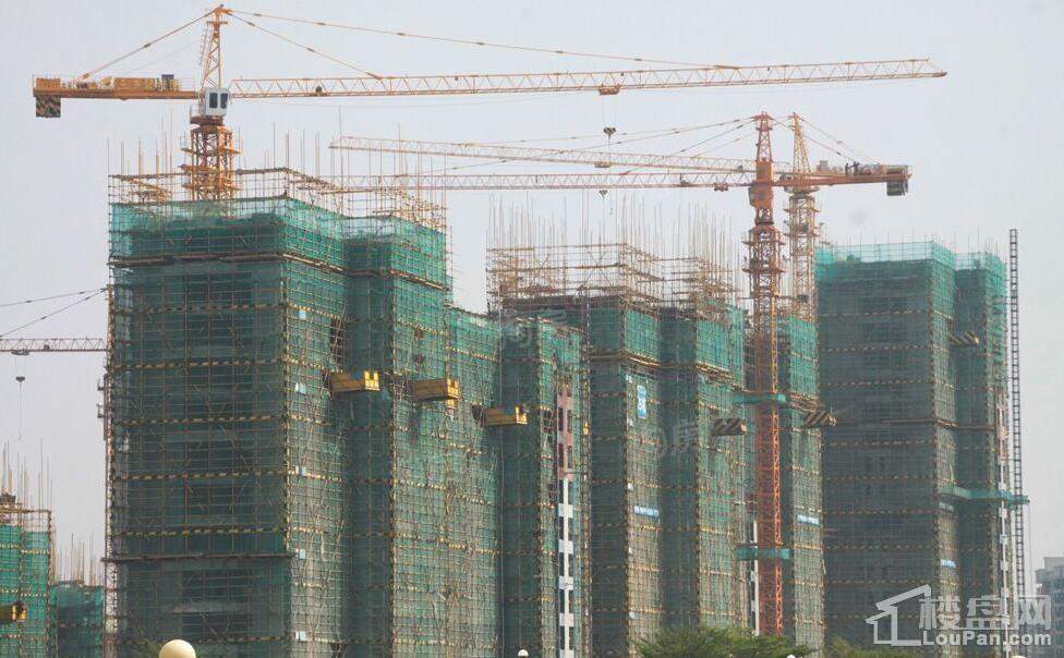 碧桂园·翰林世家实景图
