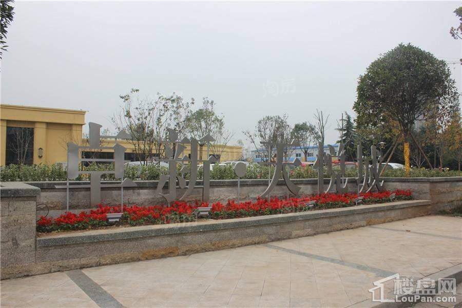 卓新江来实景图