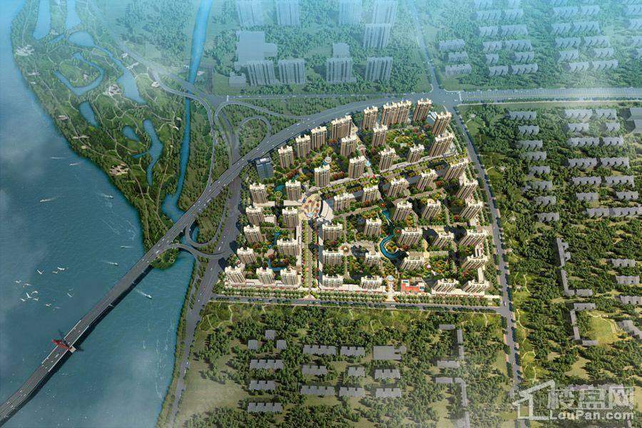 卓新江来效果图