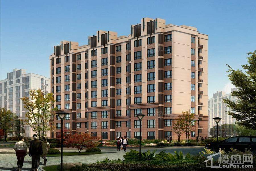 卓新江来效果图