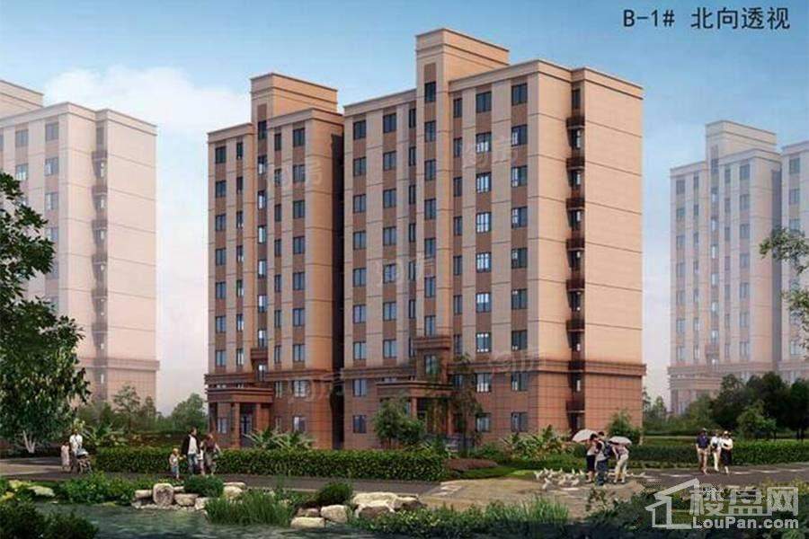 卓新江来效果图