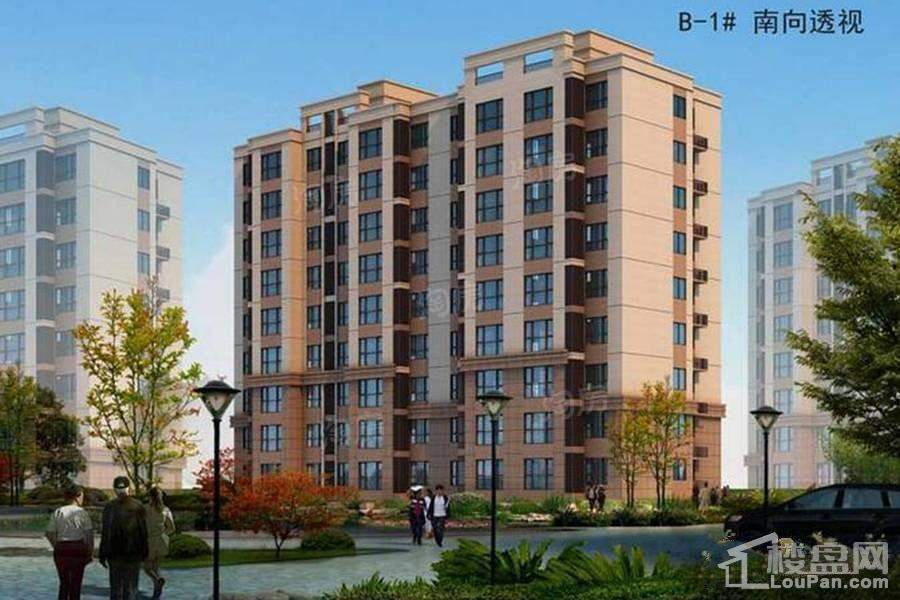 卓新江来效果图