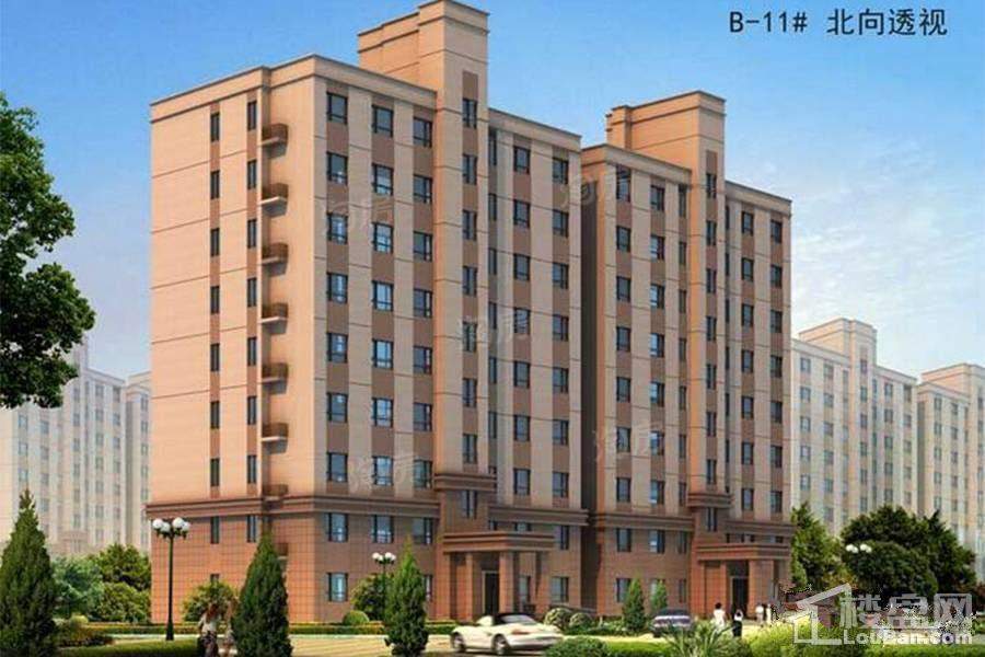 卓新江来效果图