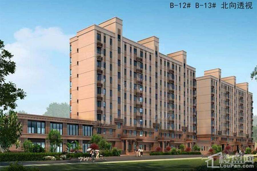 卓新江来效果图