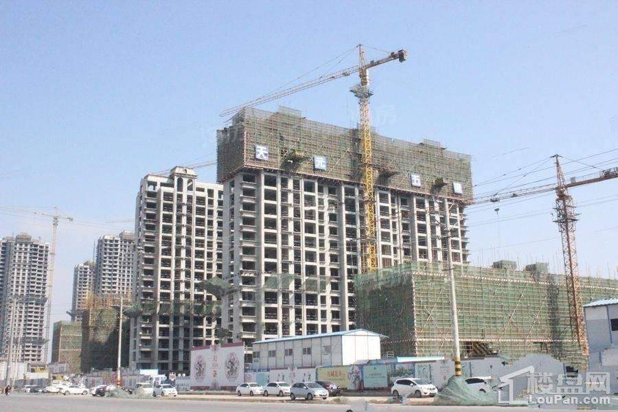 万城花开实景图