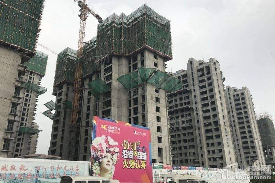 万城花开实景图