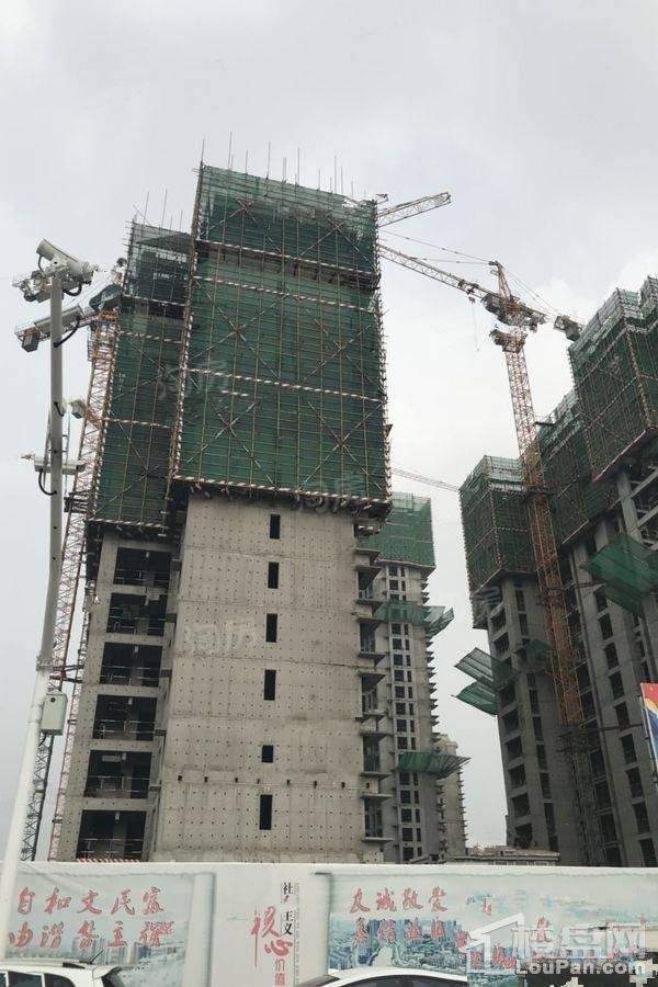 万城花开实景图