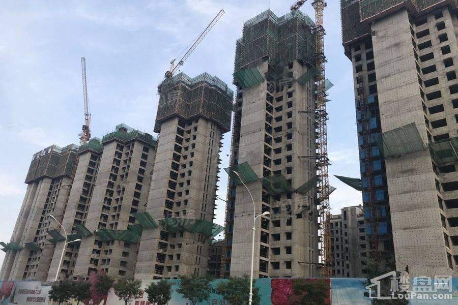万城花开实景图