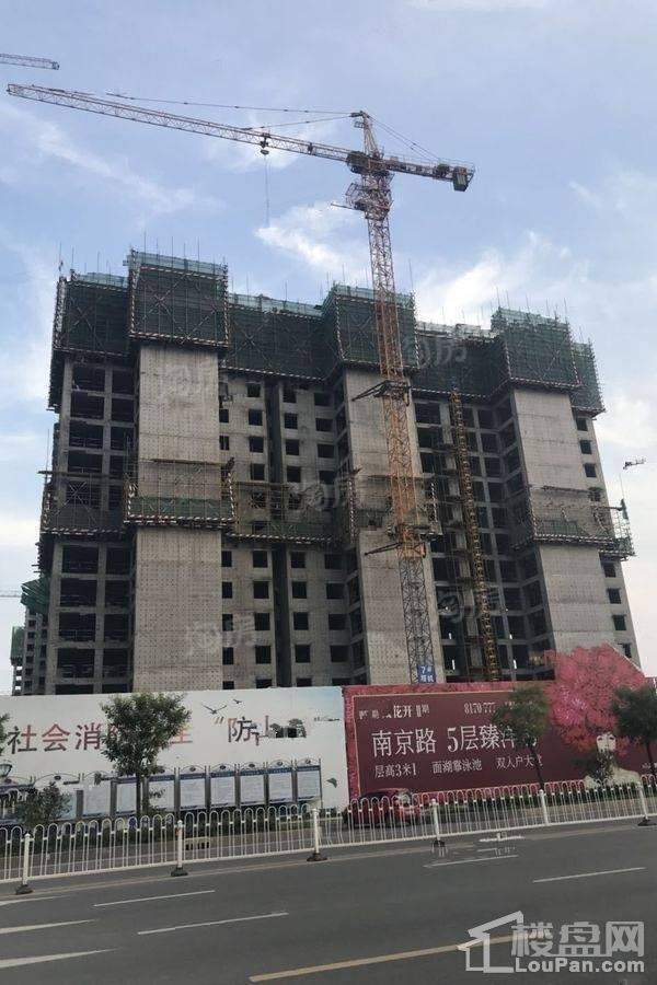 万城花开实景图