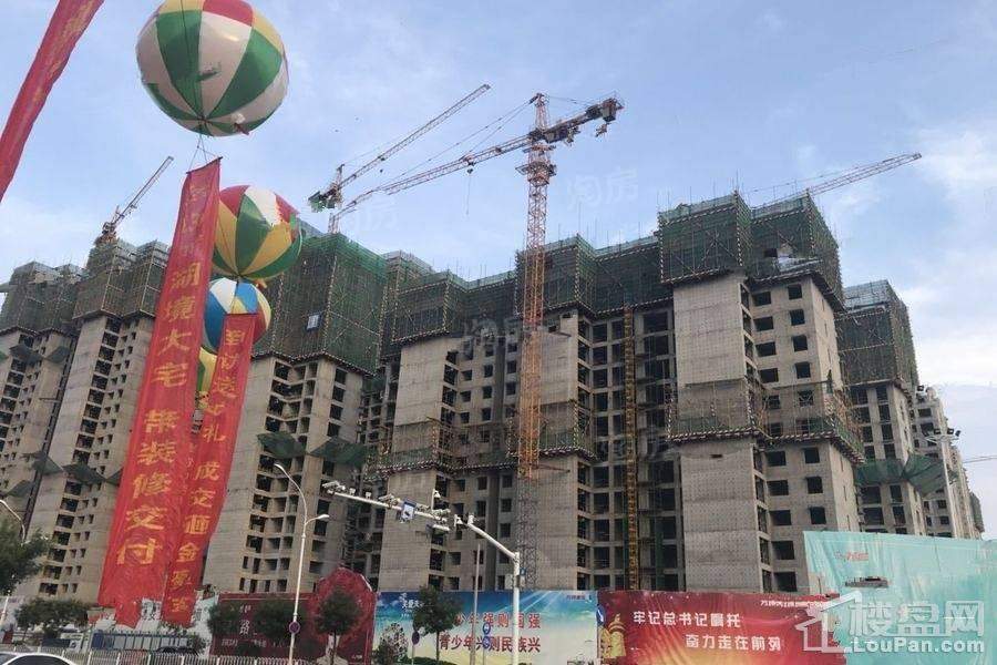 万城花开实景图