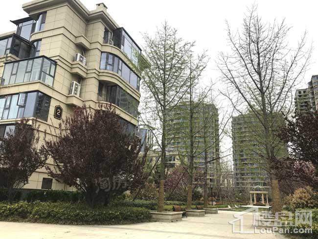中元御桂园实景图