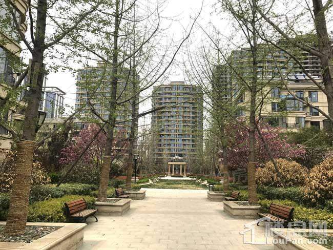中元御桂园实景图