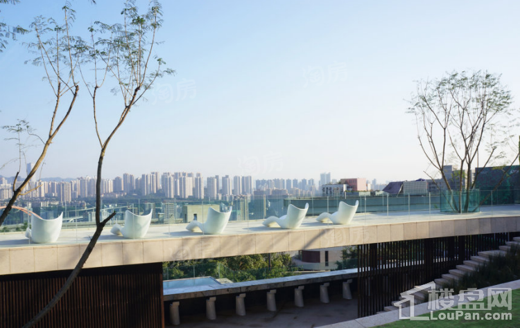 实景图