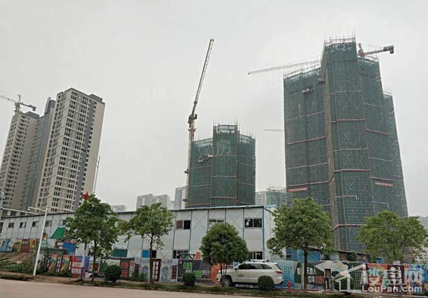 嘉长源畔山悦海实景图
