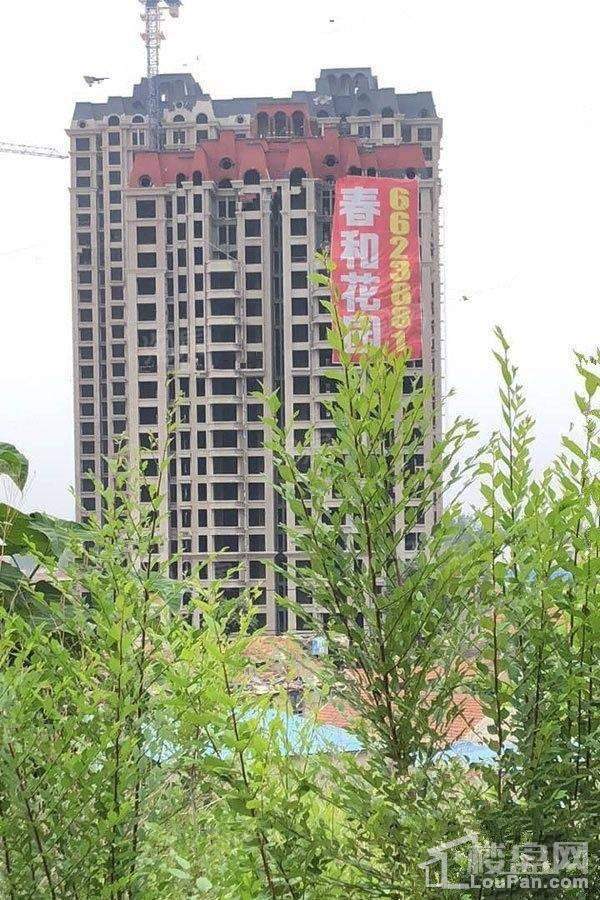 实景图